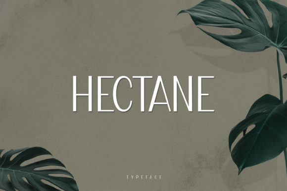Hectane: Finding a Modern Font for Editorial Mood