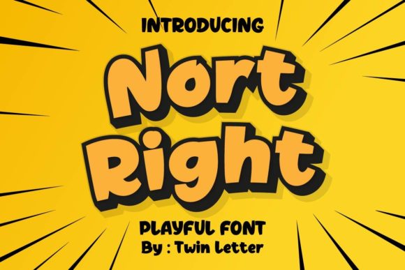 How the Display Font Nort Right Helped My Business Look More Polished