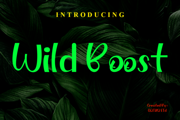 Wild Boost: A Display Font for Scroll-Stopping Visuals